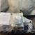 New GM performance 6l80E supermatic with 3000-3400 stall converter with wiring a 5 thumbnail