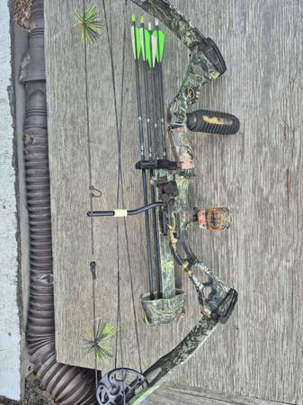 bow and arrows 1