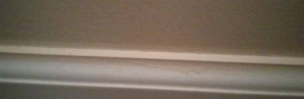 Ambrose & Nick Don't Use them!! (Wappingers Falls)64306349270787121