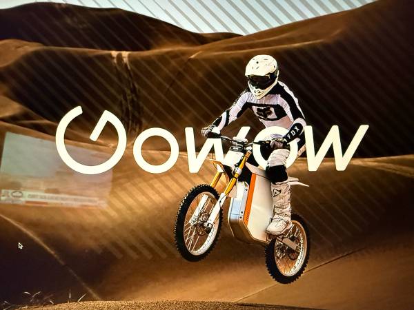 Gowow ori electric bikes 2 1