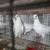 Pigeons 2 thumbnail