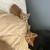 Kittens 3 thumbnail