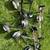 Golf cart fall blow-out sale $25 each. See photos. 3 thumbnail