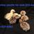Turkey poults 5 thumbnail