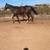 OTTB Project 4 thumbnail