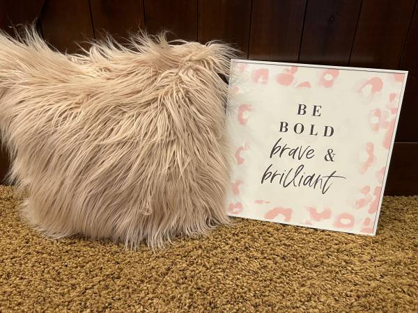 art and pillow 1