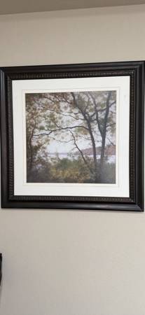 Framed Landscape Tree Art 1