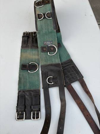 Training Surcingle 1