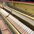 Yamaha Piano T116 (Ebony High Polish) w/ Bench, Tune, and Delivery 4 thumbnail
