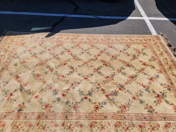 Karastan Garden of Eden 6x9 pure wool rug in superb shape. - $399 (bernal heights)63471459717507120