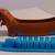 New wiener dog hot dog cutter 2 thumbnail