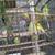 Parakeets 3 thumbnail