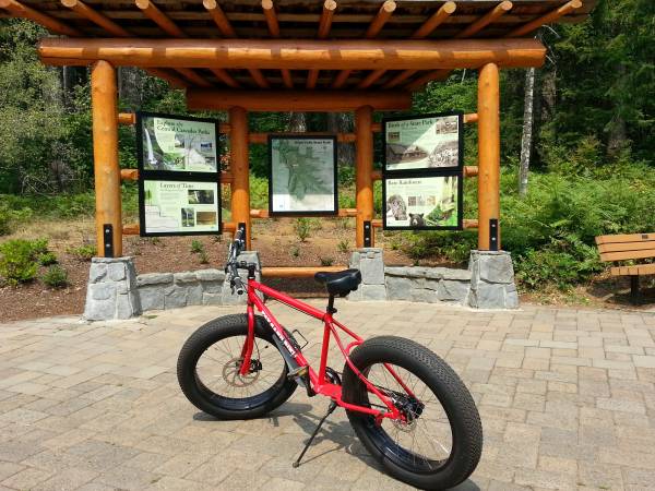 11 speed internal hub bicycle 1