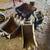 2004 CAT 305CR Excavator – REBUILT ENGINE – Hydraulic Thumb – 5 Bucket 8 thumbnail