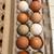 Fresh Chicken Eggs 3 thumbnail