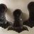 3 ANTIQUE CAST IRON EAGLE CLAW & BALL BATHTUB FEET 5 thumbnail