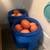 Brown eggs 2 thumbnail