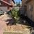 Tree Trimming, Yard Cleanups, Irrigation & Landscaping — FREE ESTIMATE 7 thumbnail
