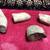 Dinosaur fossils 11 thumbnail