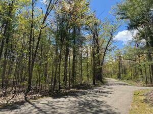 $34,700 / 80150ft2 - Beautiful Wooded 1.8 acre parcel for sale (Gaylord)64037725103619121