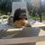 Cavapoo cavapoochon looking for a new home fee cover only that $100 ready for yo 5 thumbnail