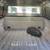 2019 Ford F150 Regular Cab 4x4 4WD F-150 XL Pickup 2D 6 1/2 ft Truck 7 thumbnail