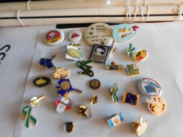Hodgepog of 32 pins 1