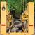 Gehl skidsteer 3 thumbnail
