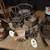 VINTAGE LARGE LOT FAKE ARTIFICIAL FLOWERS & BASKETS FLORAL CRAFTS 8 thumbnail