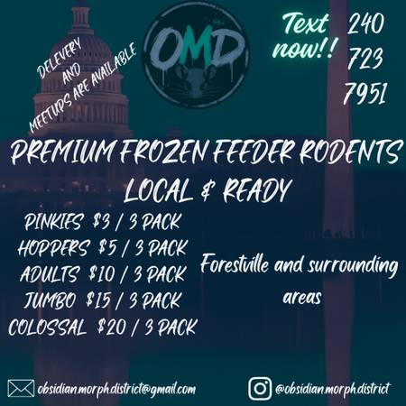 Alimento para reptiles local (District Heights)