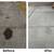 Paver Sealing $1/sq Ft — Fall Special — Cleaning & Sealing Included 24 thumbnail