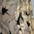 Drapes big Leaf  by Chris Stone Bark cloth 5 thumbnail