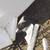 2020 POLARIS SLINGSHOT T-TOP SLINGSHOT T TOP 16 thumbnail