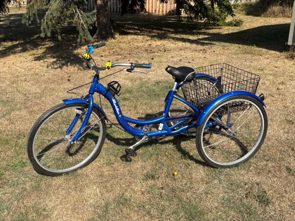 Schwinn Meridian Adult Tricycle 1