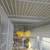 Canaries canarios 11 thumbnail