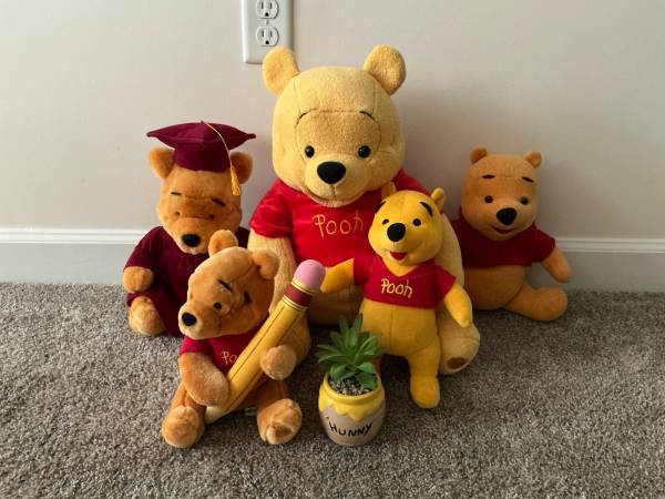 DISNEY WINNIE THE POOH PLUSH BEAR COLLECTION 1