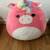SQUISHMALLOW BUNDLE 7 thumbnail