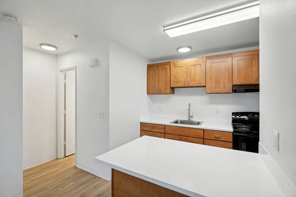 Open Layout, Pet-Friendly, Spacious Closet 1
