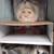 4 Marie Osmond Dolls $235 for all 4 16 thumbnail