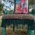 Turquoise and distressed with Leopard print COWGIRL RODEO Chairs 2 thumbnail