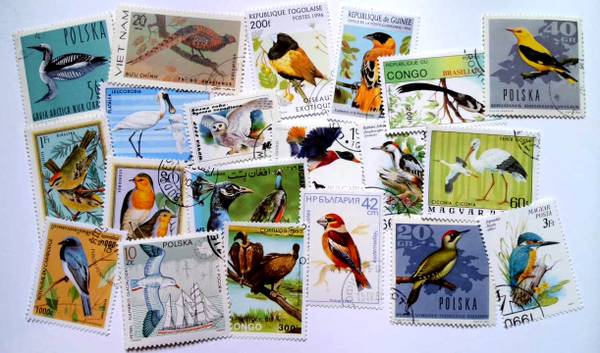 Wild Birds Postage Stamp Collection 1