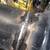 Mobile welding, basic auto, brush/scrap removal, etc. 3 thumbnail