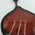 Fender Mandolin FM-100 Model Flawless 5 thumbnail