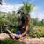 Tree removal. Stump Grinding. etc. Ben's Tree Service/landscape 8 thumbnail