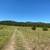 Raw land. 35 acres 9 thumbnail