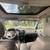 2002 Honda Accord - Special Edition 8 thumbnail