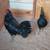 pollos   gallinos gallinetas  hennie  chicks 4 thumbnail