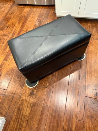 Padded seat storage chest 1