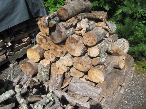 fire wood, 1