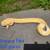 Rehoming Ball Pythons 3 thumbnail
